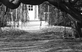 Greenhouse